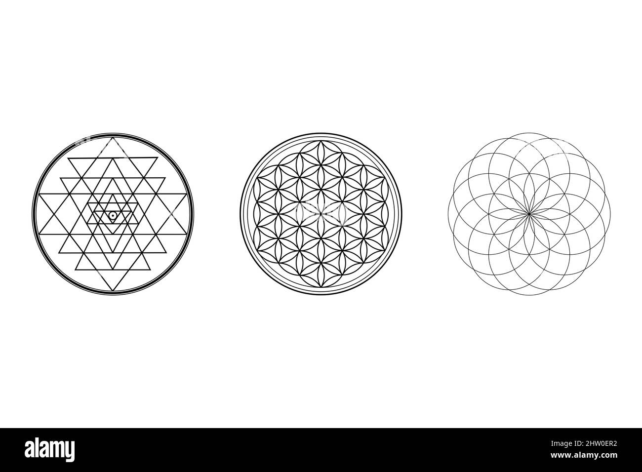 Hintergrund der heiligen Geometrie, Sri Yantra, Blume des Lebens, Torus, Heilige Geometrie isoliert auf weißem Hintergrund Illustration, 3 Antike Symboltapete Stockfoto