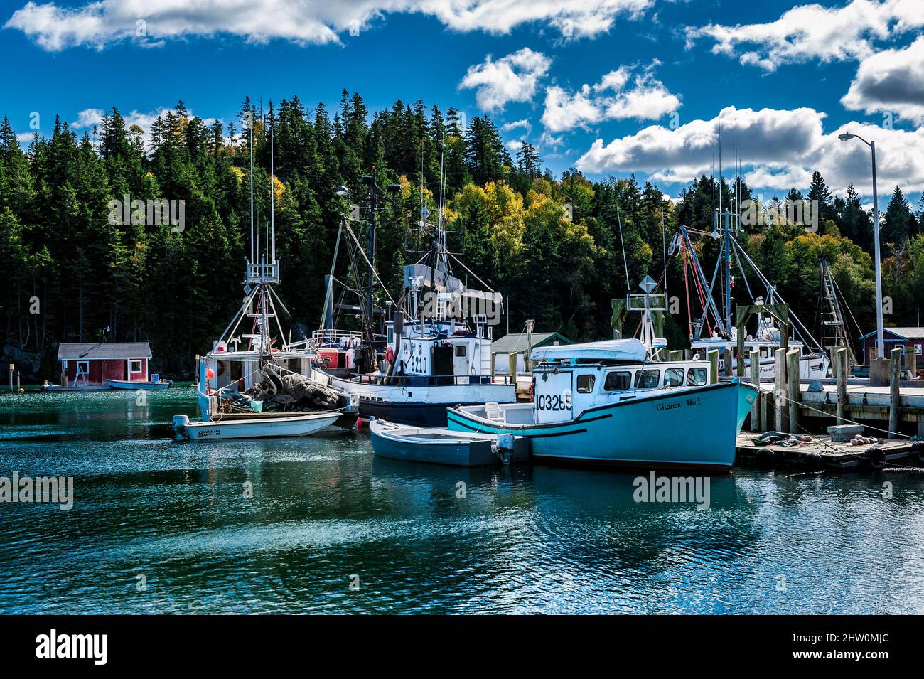 Kommerzielle Fischerboote in Head Harbor Wharf, New Brunswick, Kanada. Stockfoto