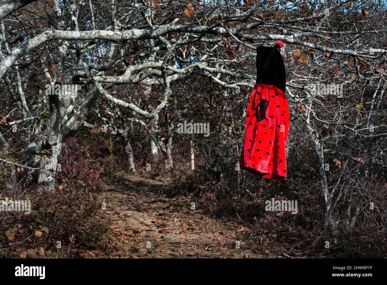 Mädchenmantel hängt an einem Baum entlang eines abgelegenen Pfades. Stockfoto