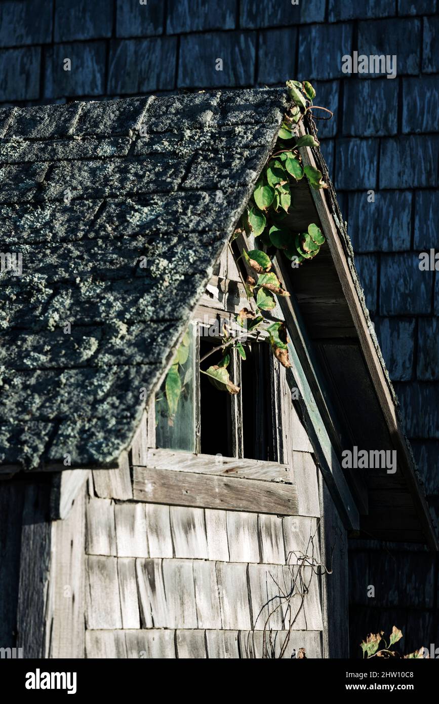 Verwitterte Fischhütte, Menemsha, Chillmark, Martha's Vineyard, Massachusetts, USA. Stockfoto
