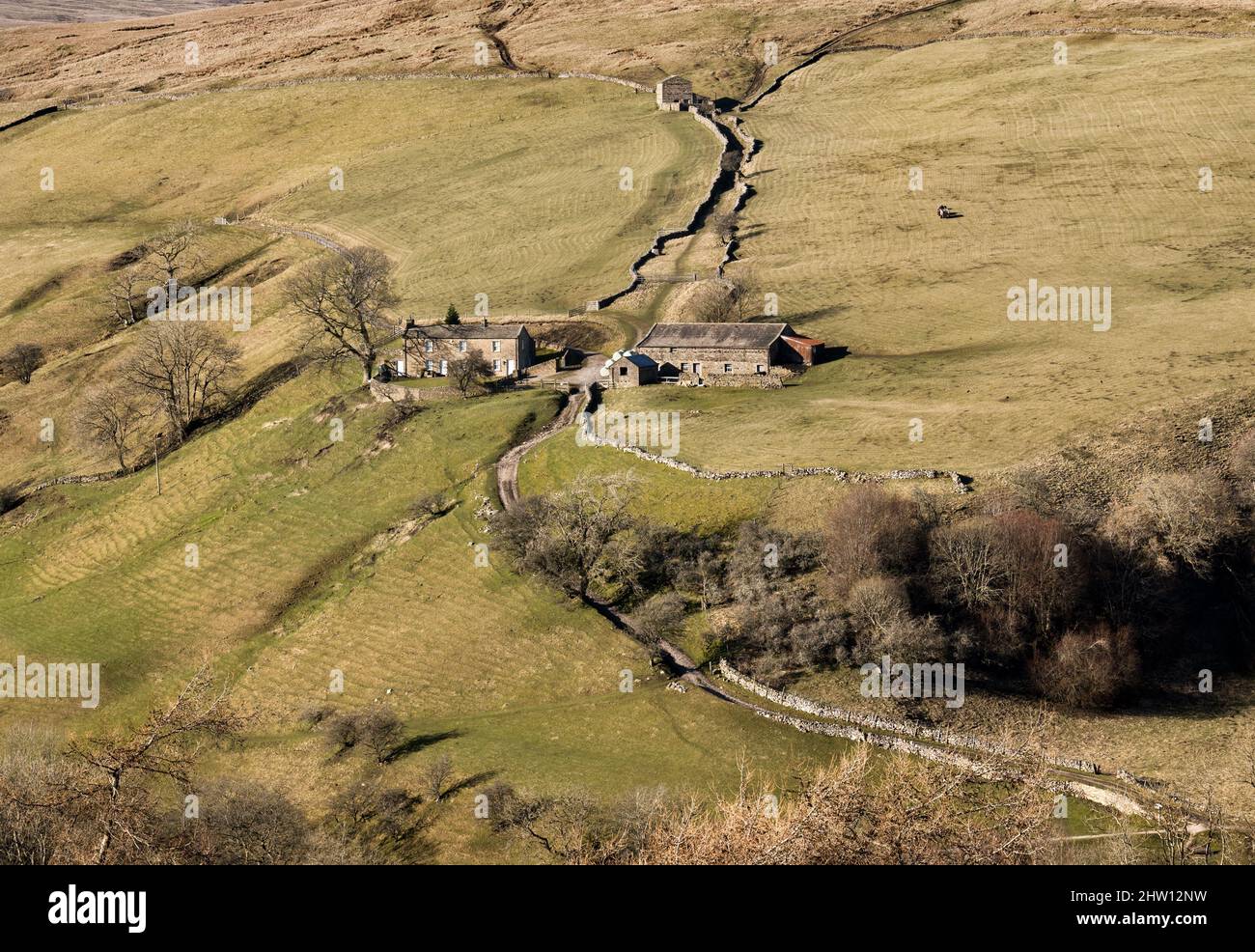 Eine Hügelfarm in Keld im oberen Swaledale, Yorkshire Dales National Park, Großbritannien Stockfoto