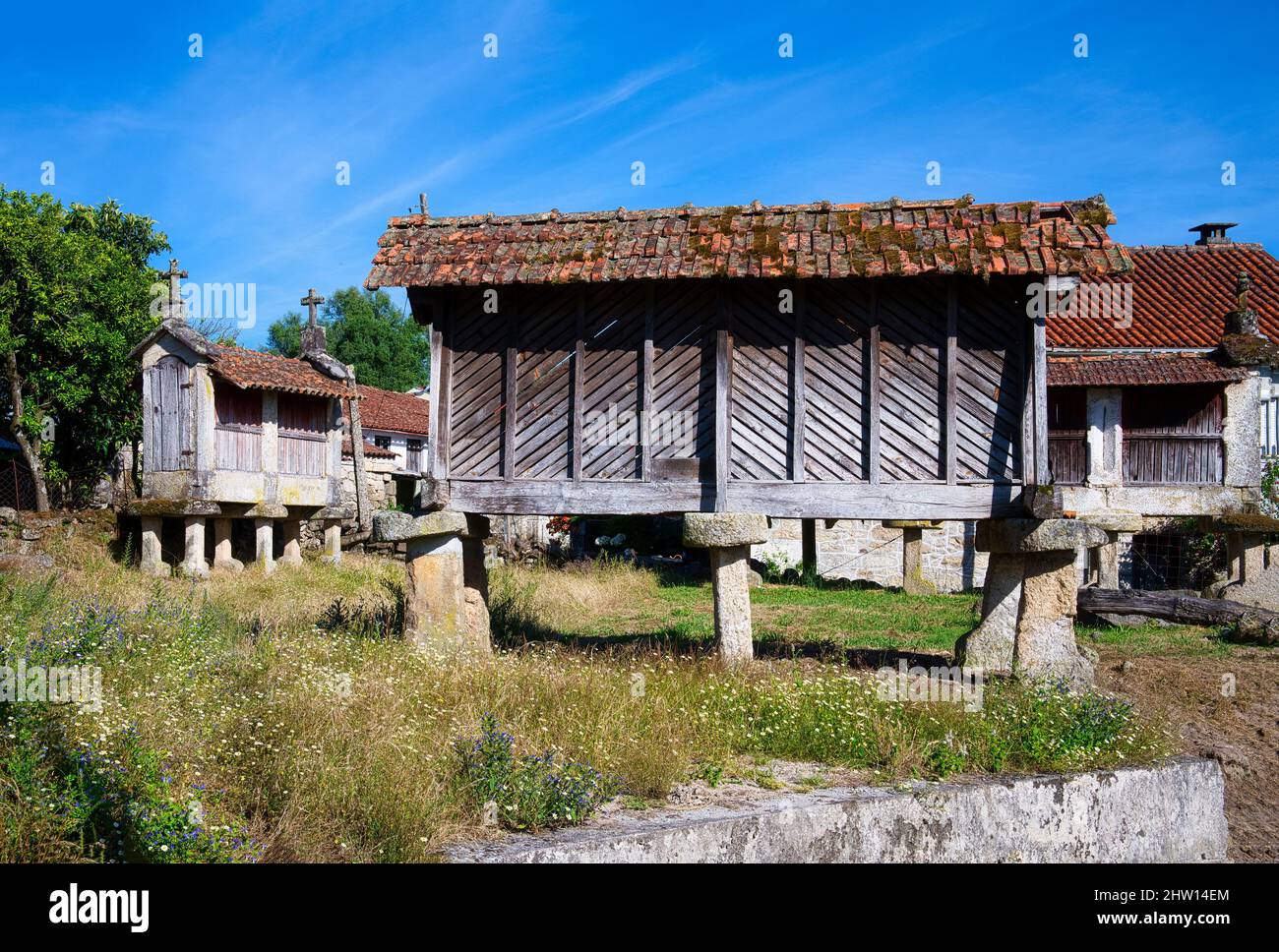 Traditioneller Espigueiro, Kornspeicher im Zentrum eines Dorfes, Nationalpark Peneda Geres, Minho, Portugal Stockfoto