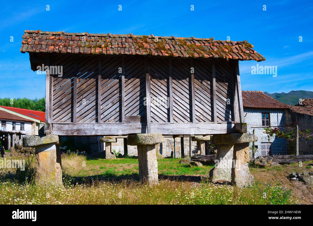 Traditioneller Espigueiro, Kornspeicher im Zentrum eines Dorfes, Nationalpark Peneda Geres, Minho, Portugal Stockfoto