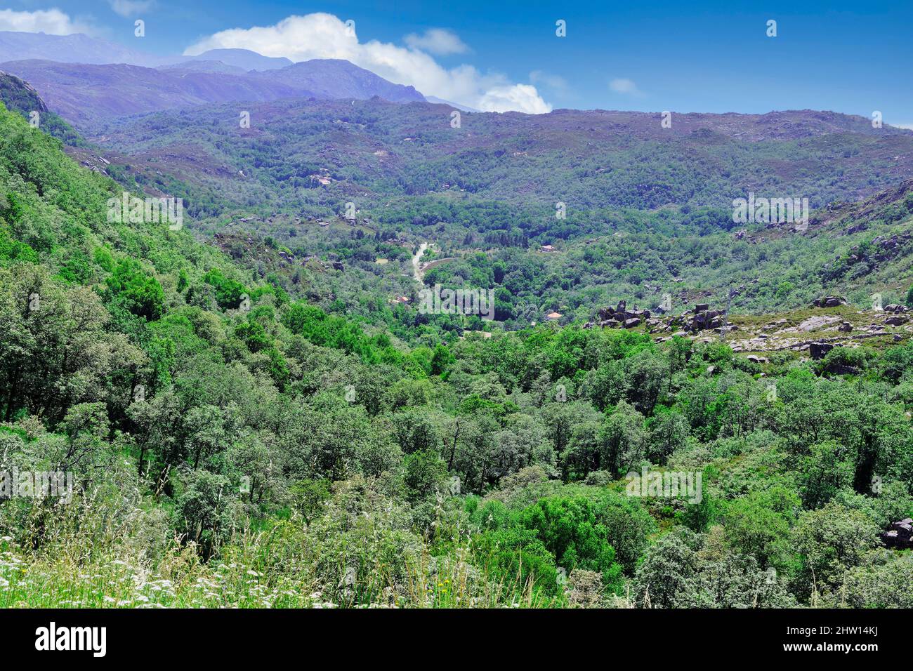 Inverneiras-Tal, Castro Laboreiro-Dorf, Peneda Geres Nationalpark, Minho, Portugal Stockfoto