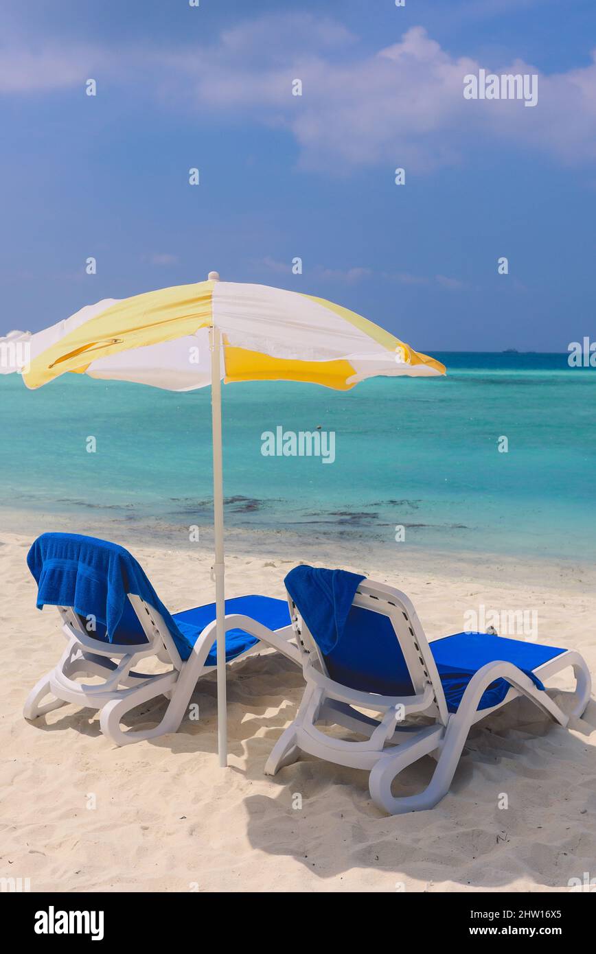 Zwei blaue Chaiselongue aus Plastik unter gelbem Schirm am lokalen Bikini Beach der Maafushi Insel, Malediven Stockfoto