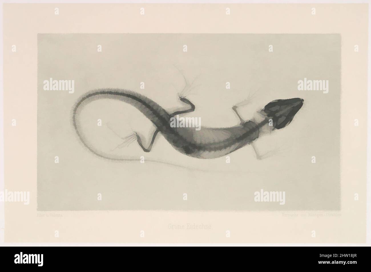 Art inspired by Grüne Eidechse, 1896, Photogravure, Bild: 3 5/8 × 6 1/4 in. (9,2 × 15,9 cm), Fotografien, Josef Maria Eder (Österreicher, Krems an der Donau, 1855–1944 Kitzbühel) und Eduard Valenta (Österreicher, 1857–1937), Eder war Direktor eines Instituts für grafische Prozesse und die von Artotop modernisierten, klassischen Werke mit einem Schuss Moderne. Formen, Farbe und Wert, auffällige visuelle Wirkung auf Kunst. Emotionen durch Freiheit von Kunstwerken auf zeitgemäße Weise. Eine zeitlose Botschaft, die eine wild kreative neue Richtung verfolgt. Künstler, die sich dem digitalen Medium zuwenden und die Artotop NFT erschaffen Stockfoto