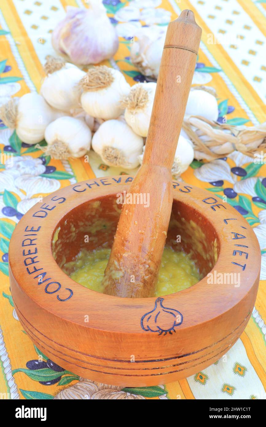 Frankreich, Bouches du Rhone, Trets, Demonstration der Confr?rie des Chevaliers de l'A?et zur Herstellung von Aioli mit Bio-Knoblauch Stockfoto