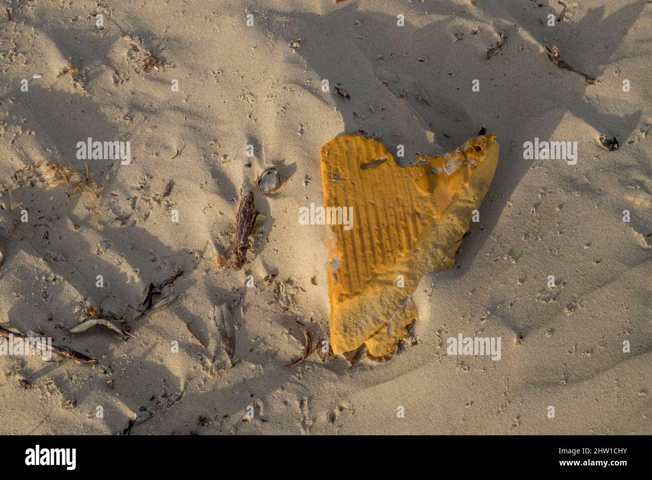 Guinee Bissau, Verschmutzung der Strände des Archipels der Bijagos-Inseln, von der UNESCO als Biosphärenreservat eingestuft, Orango Island, Orango National Park Stockfoto