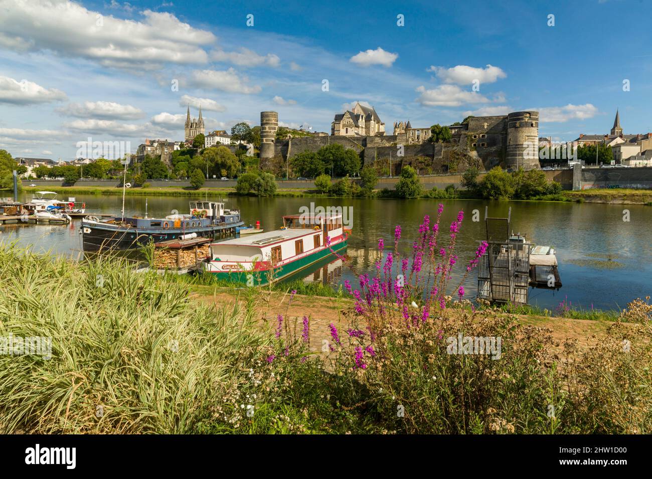 Frankreich, Maire-et-Loire, Loire-Tal, das von der UNESCO zum Weltkulturerbe erklärt wurde, Angers, die Cale von Savatte (Flusshafen am Maine) mit dem Schloss der Herzöge von Anjou und der Kathedrale Saint-Maurice im Hintergrund Stockfoto