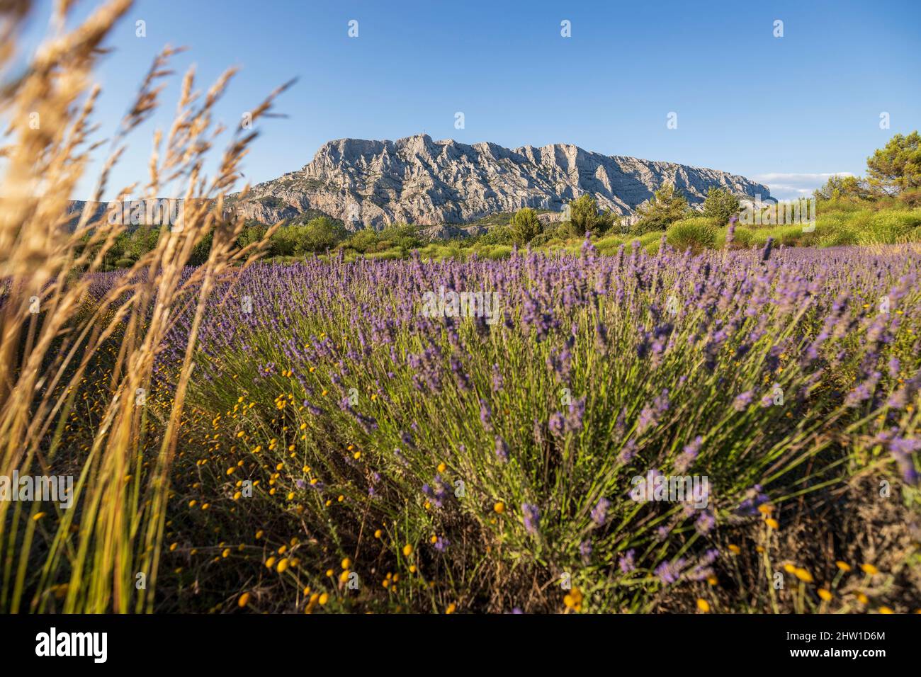 Frankreich, Bouches du Rh?ne, Pays d'Aix, Grand Site Sainte-Victoire, Sainte-Victoire Stockfoto