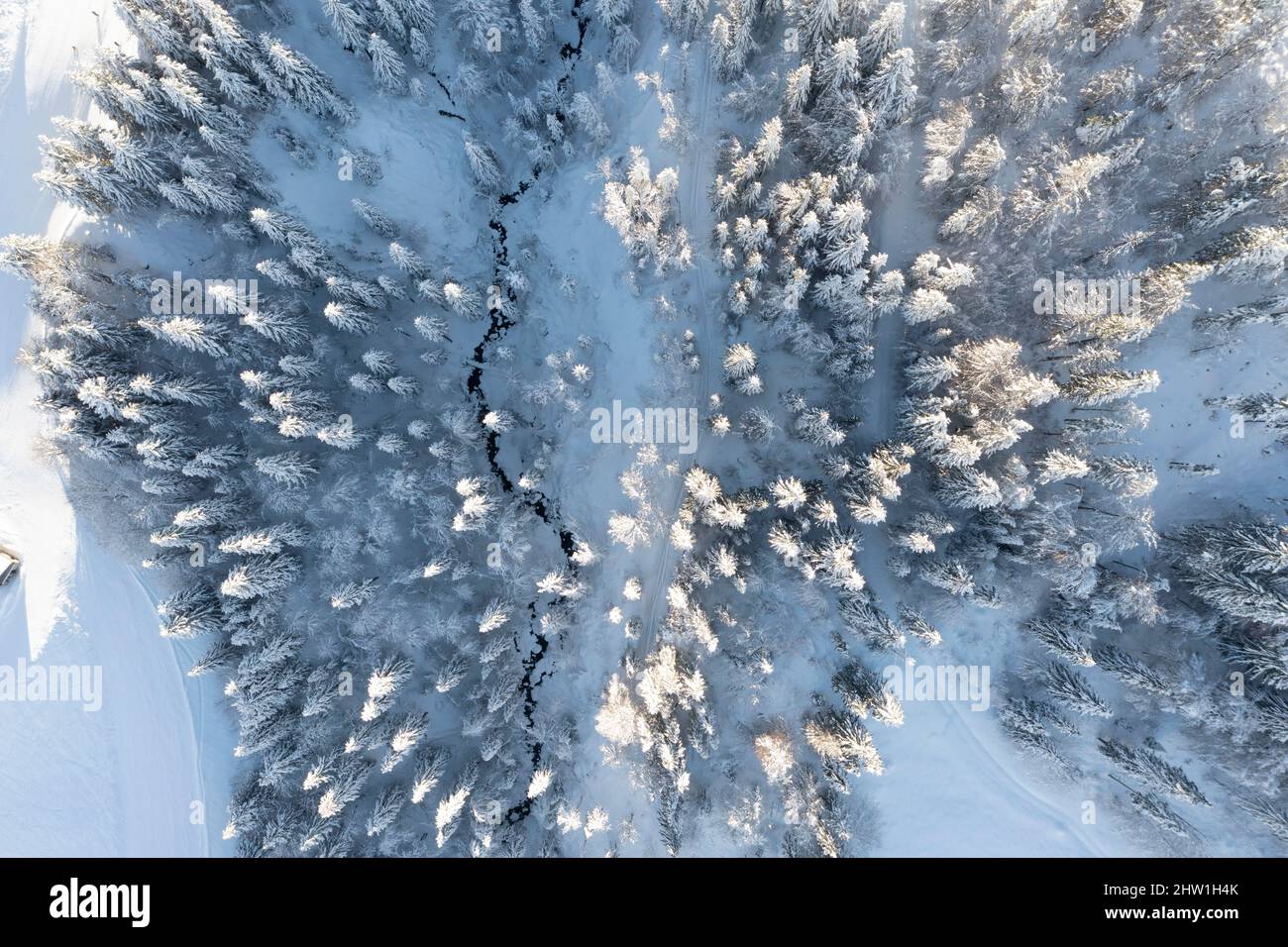 Frankreich, Haute-Savoie, La Clusaz, topshot Ansicht von schneebedeckten Tannenbäumen (Luftaufnahme) Stockfoto