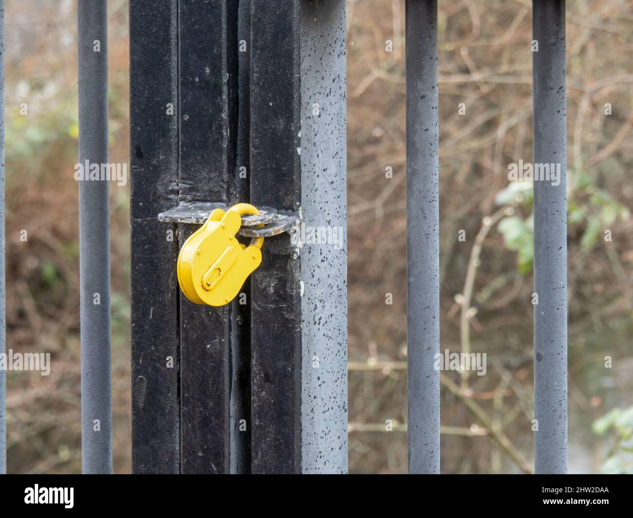 Gelbes Vorhängeschloss am verschlossenen Tor. Stockfoto