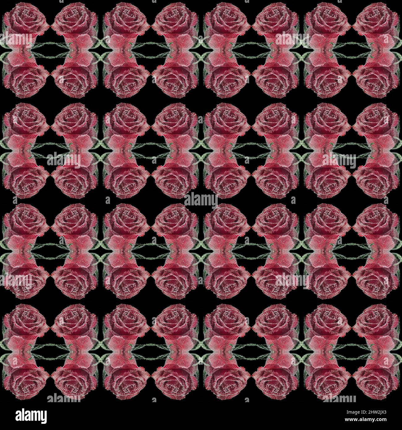 Nahtloses Muster aus roten Rosen, bedeckt mit Luftblasen, vor einem schwarzen quadratischen Hintergrund. Selektiver Fokus Stockfoto