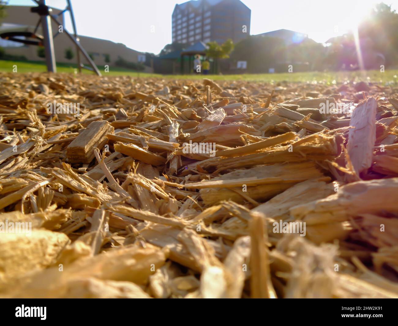 Nahaufnahme von Holzabfällen und Holzabfällen unter Sonnenstrahlen im Hintergrund des Gebäudes Stockfoto