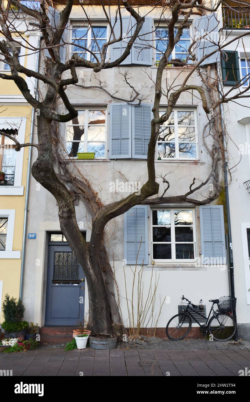 Fassaden alter Häuser im Zentrum von Basel, Schweiz Stockfoto