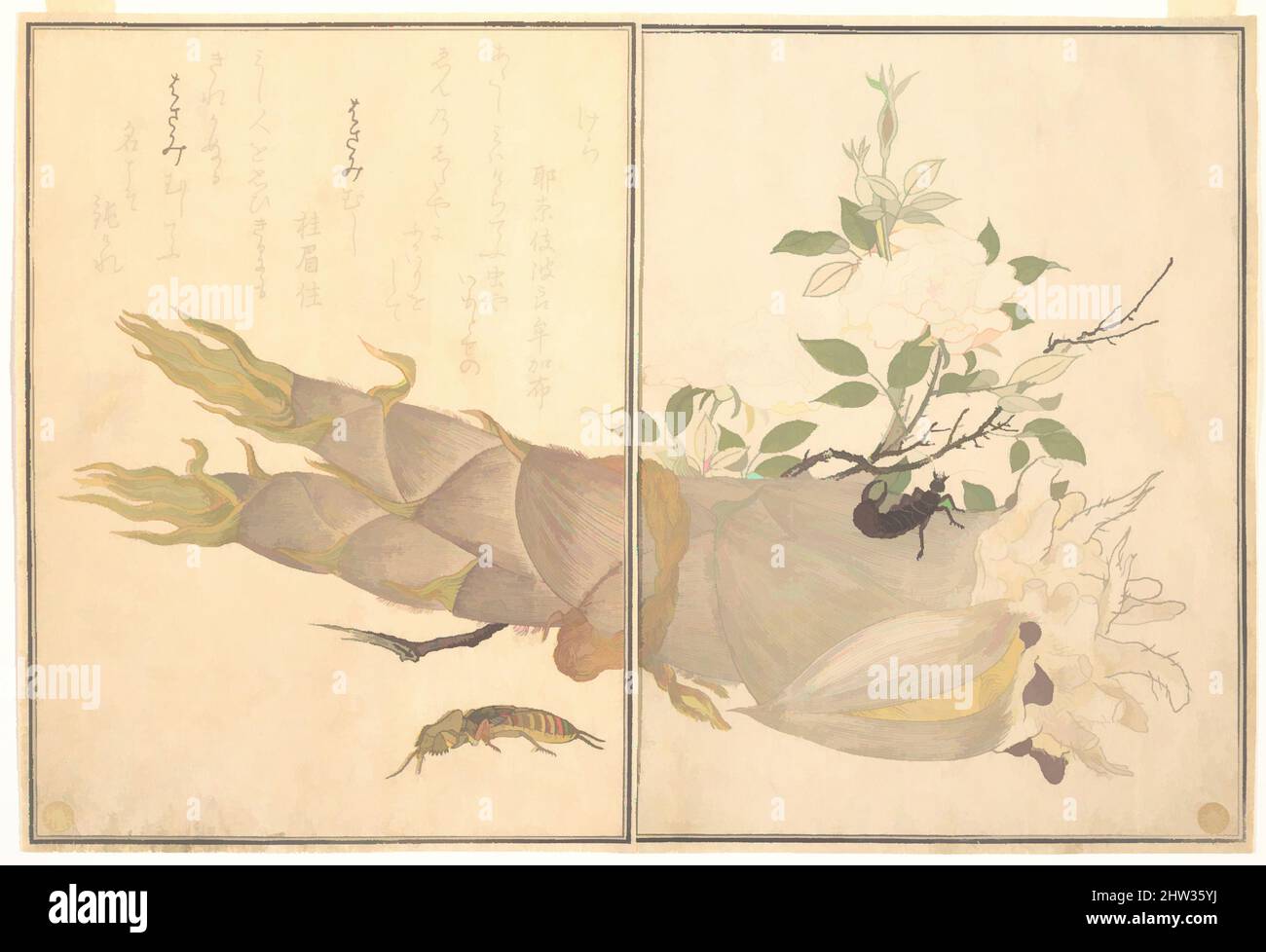 Kunst inspiriert von 『画本虫撰』 「けら」「はさみむし」, Mole Cricket (Kera); Earwig, (Hasami-mushi), aus dem Bilderbuch der kriechenden Kreaturen (Ehon mushi erami), Edo-Zeit (1615–1868), 1788, Japan, Seite aus Holzschnitt-gedrucktem Buch; Tinte und Farbe auf Papier, 10 1/2 x 7 7/32 Zoll (26,7 x 18,4 cm), Drucke, von Artotop modernisierte Klassiker mit einem Schuss Moderne. Formen, Farbe und Wert, auffällige visuelle Wirkung auf Kunst. Emotionen durch Freiheit von Kunstwerken auf zeitgemäße Weise. Eine zeitlose Botschaft, die eine wild kreative neue Richtung verfolgt. Künstler, die sich dem digitalen Medium zuwenden und die Artotop NFT erschaffen Stockfoto