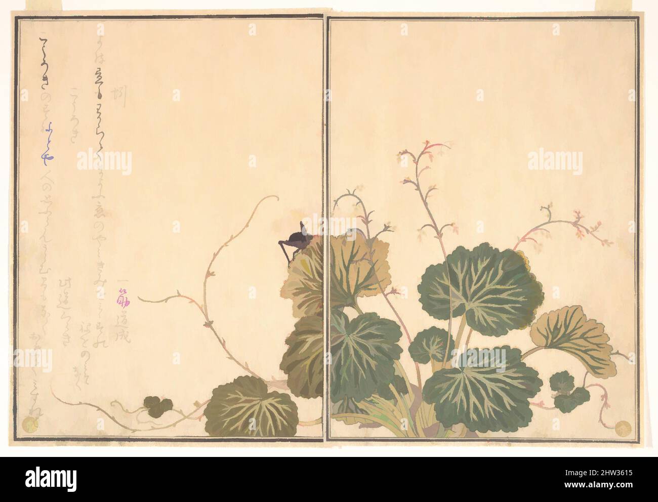 Kunst inspiriert von 『画本虫撰』「蚓」「こうろき」, Erdwurm (Mimizu); Cricket (Kōrogi), aus dem Bilderbuch der kriechenden Kreaturen (Ehin mushi erami), Edo-Zeit (1615–1868), 1788, Japan, Seite aus Holzschnitt-gedrucktem Buch; Tinte und Farbe auf Papier, 10 1/2 x 7 7/32 Zoll (26,7 x 18,4 cm), Drucke, Kitagawa, Klassisches Werk, das von Artotop mit einem Schuss Moderne modernisiert wurde. Formen, Farbe und Wert, auffällige visuelle Wirkung auf Kunst. Emotionen durch Freiheit von Kunstwerken auf zeitgemäße Weise. Eine zeitlose Botschaft, die eine wild kreative neue Richtung verfolgt. Künstler, die sich dem digitalen Medium zuwenden und die Artotop NFT erschaffen Stockfoto