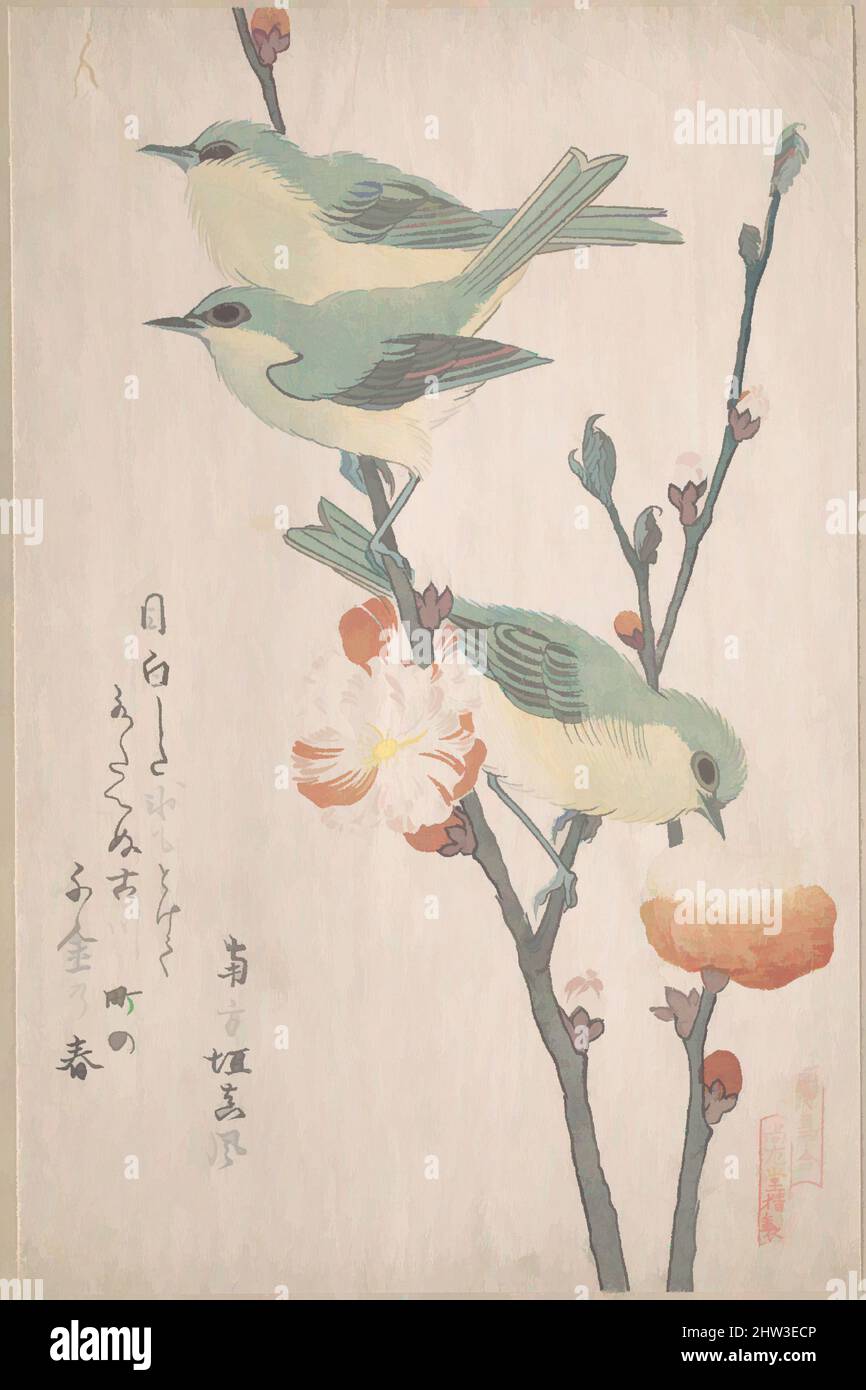Kunst inspiriert von 『鳥合』 桃花に目白, Japanese White-Eyes on a Ast of Peach Tree“, aus der Serie an Array of Birds (Tori awase), aus dem Spring Rain Surimono Album (Harusame surimono-jō, Band 3), Edo Period (1615–1868), ca. 1805–10, Japan, privat veröffentlichte polychrome Holzschnitte (, von Artotop modernisierte klassische Werke mit einem Schuss Moderne. Formen, Farbe und Wert, auffällige visuelle Wirkung auf Kunst. Emotionen durch Freiheit von Kunstwerken auf zeitgemäße Weise. Eine zeitlose Botschaft, die eine wild kreative neue Richtung verfolgt. Künstler, die sich dem digitalen Medium zuwenden und die Artotop NFT erschaffen Stockfoto