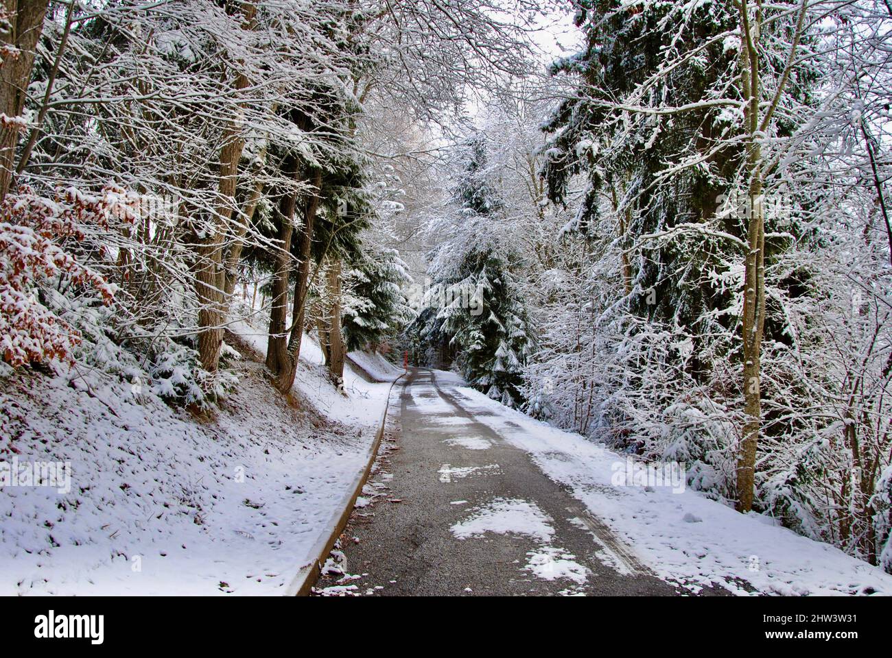 Bergstraße im Winter in den Schweizer Alpen Stockfoto