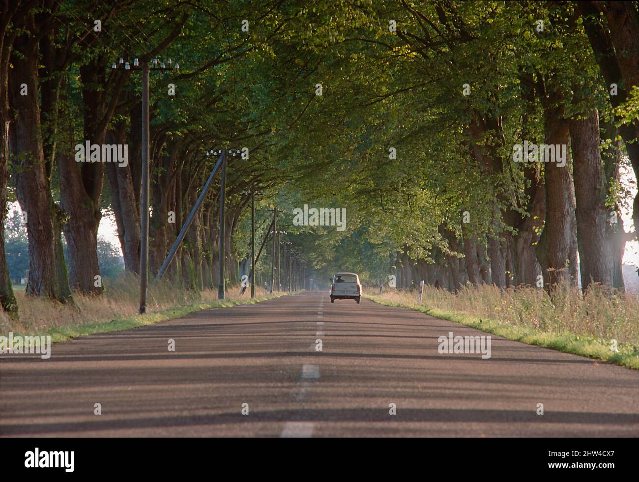 Gerade Landstraße in Mecklenburg-Vorpommern, Deutschland. Stockfoto