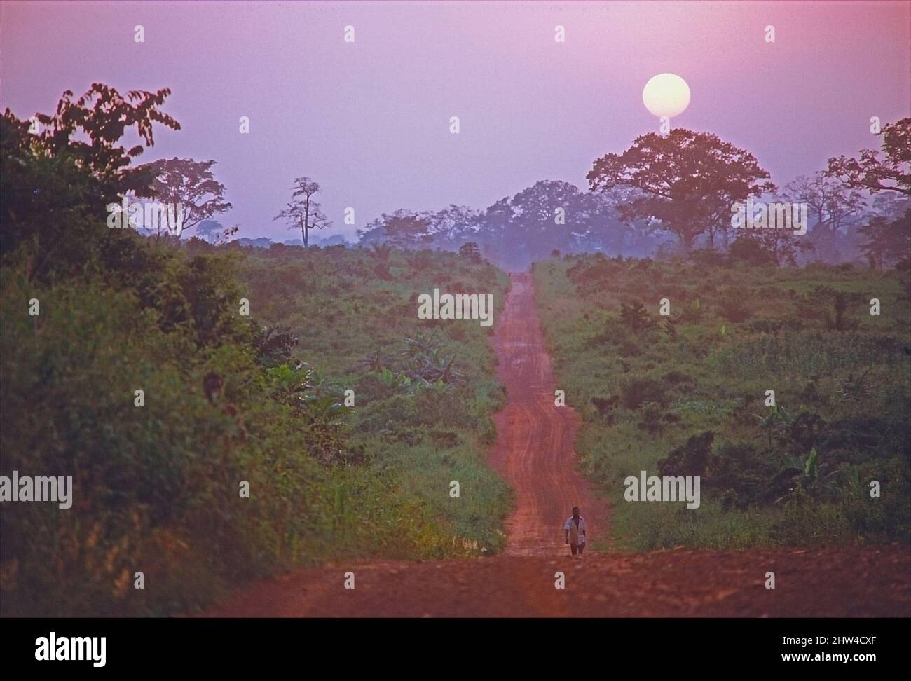 Staubstraße durch den Buschland in Ghana, Westafrika. Stockfoto