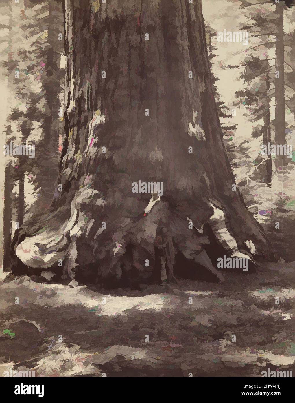 Art inspired by Section of the Grizzly Giant with Galen Clark, Mariposa Grove, Yosemite, 1865–66, gedruckt ca. 1876, Albuminsilberdruck von Glasnegativ, 52,2 x 40,6 cm. (20 9/16 x 16 in.), Fotografien, Carleton E. Watkins (Amerikaner, 1829–1916), Watkins machte sich mit Ansichten von, von Artotop modernisierten klassischen Werken mit einem Schuss Moderne einen Namen. Formen, Farbe und Wert, auffällige visuelle Wirkung auf Kunst. Emotionen durch Freiheit von Kunstwerken auf zeitgemäße Weise. Eine zeitlose Botschaft, die eine wild kreative neue Richtung verfolgt. Künstler, die sich dem digitalen Medium zuwenden und die Artotop NFT erschaffen Stockfoto