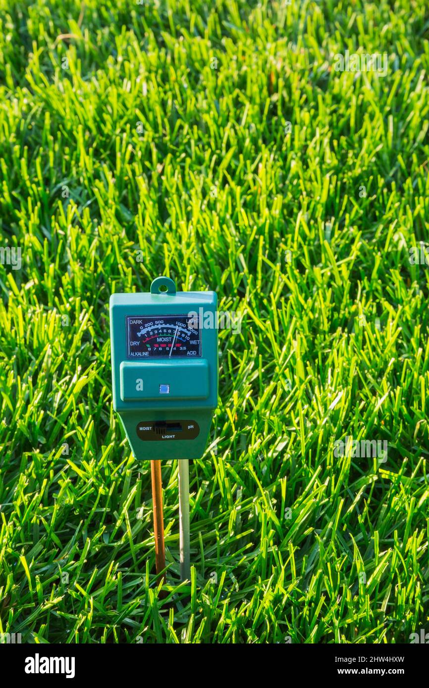 3 in 1 Luminanz-, Feuchte- und pH-Meter, die den Bodenzustand von POA pratensis - Kentucky Bluegrass Rasen anzeigen, ist ziemlich feucht. Stockfoto