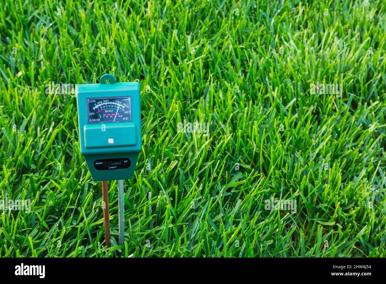 3 in 1 Luminanz-, Feuchte- und pH-Meter, die den Bodenzustand von POA pratensis - Kentucky Bluegrass Rasen anzeigen, ist ziemlich feucht. Stockfoto