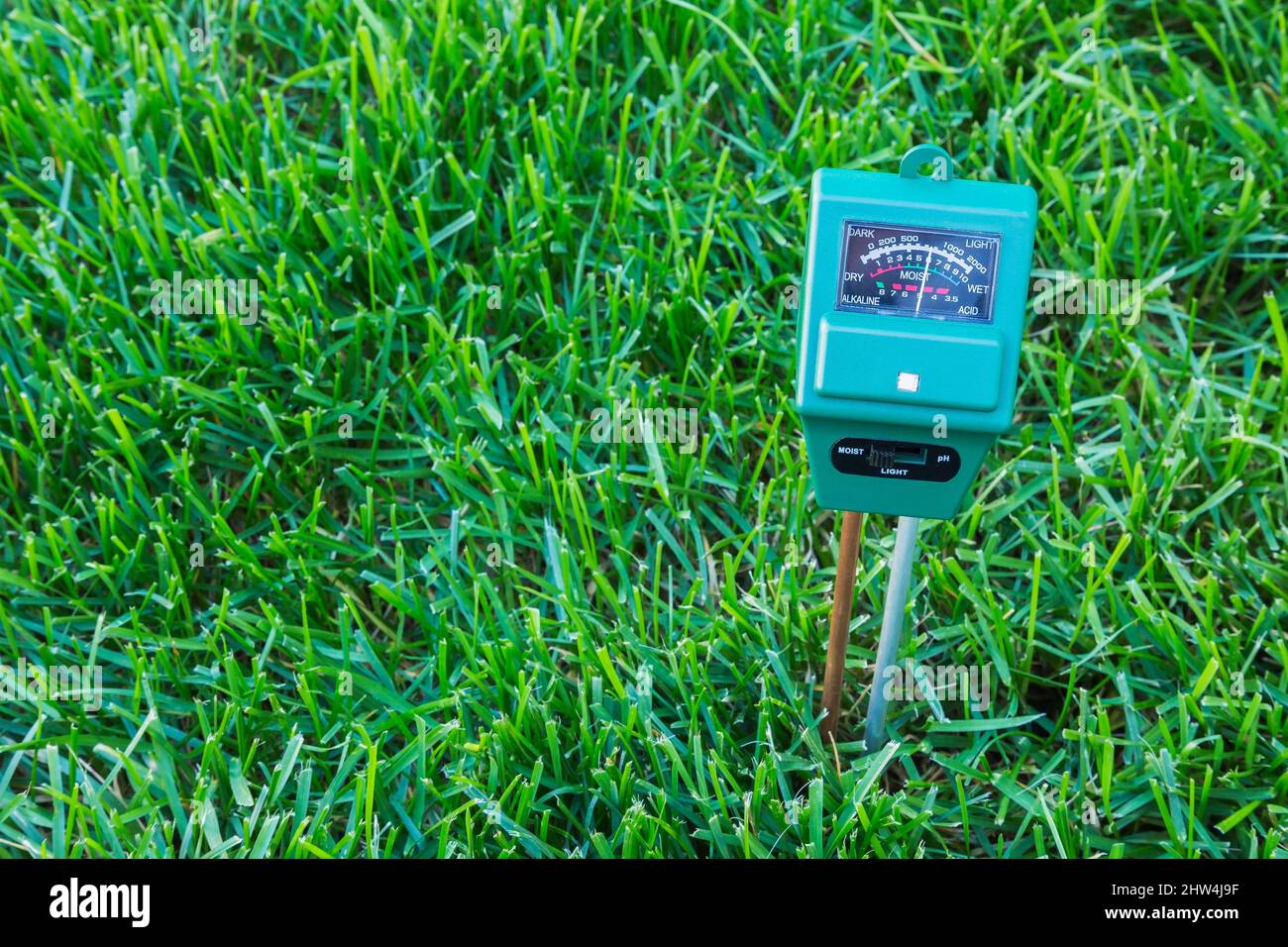 3 in 1 Luminanz-, Feuchtigkeits- und pH-Meter, die den Bodenzustand von POA pratensis - Kentucky Bluegrass anzeigen, ist feucht. Stockfoto
