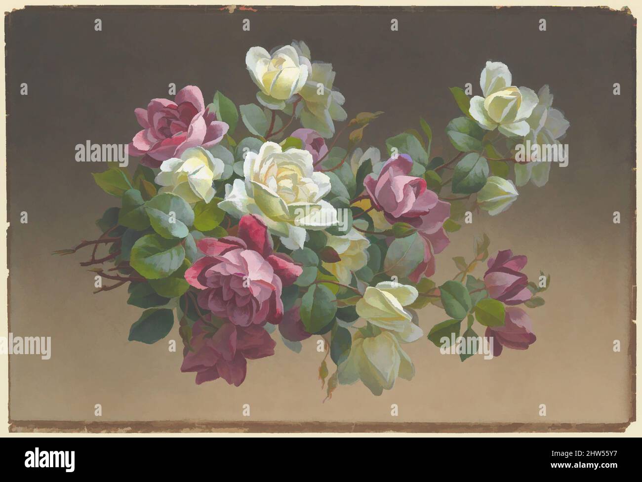 2 rosen – hoher -Bildmaterial -Fotos Auflösung in Alamy und