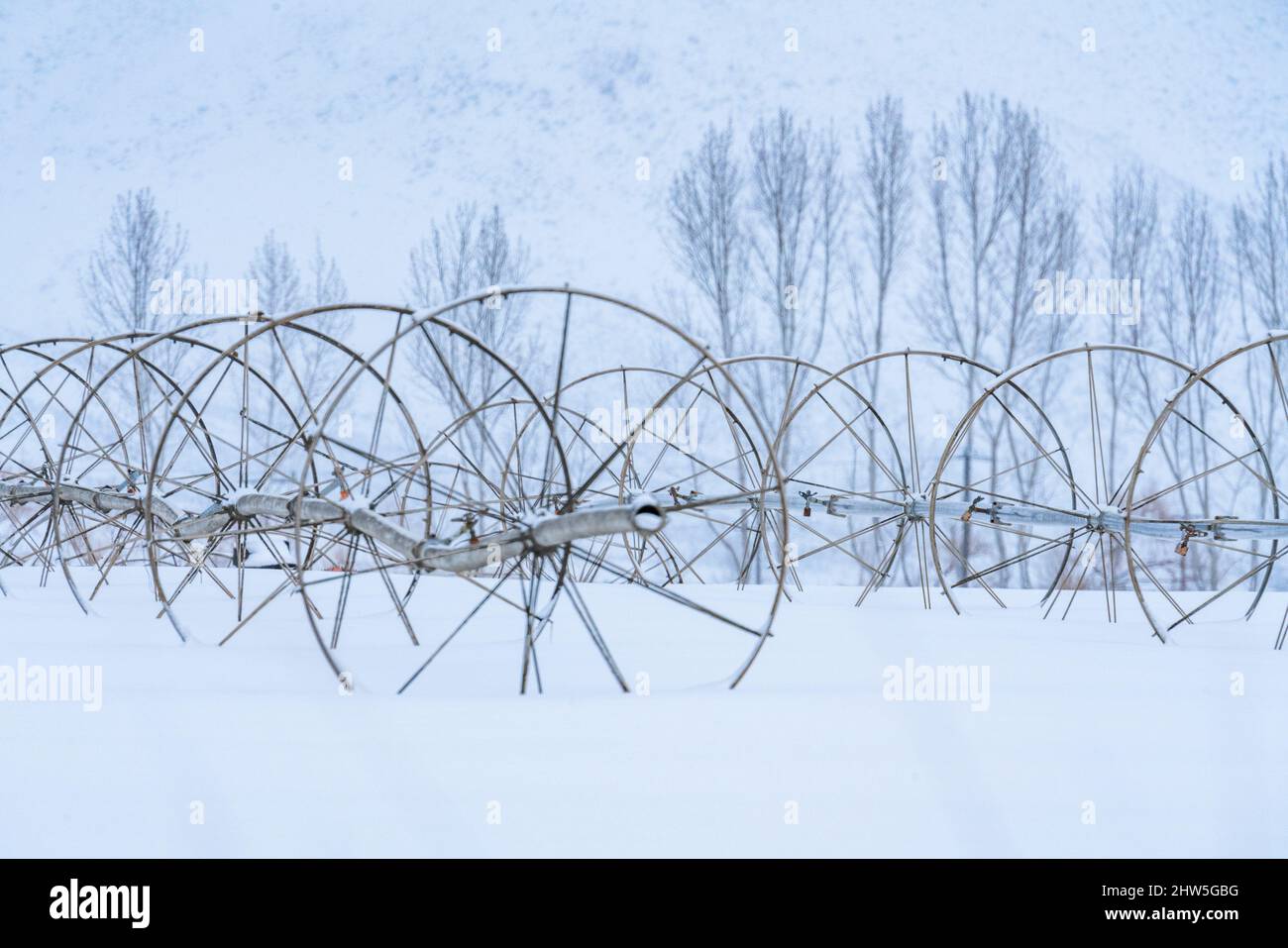 Vereinigte Staaten, Idaho, Bellevue, Bewässerungstechnik im Winterfeld Stockfoto