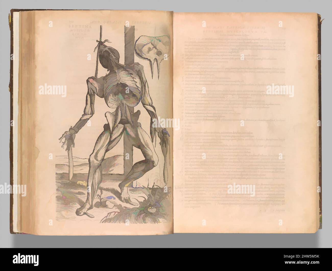 Art inspired by De humani corporis fabrica (of the Structure of the Human Body), 1555, Holzschnitt, Overall: 15 9/16 x 10 1/2 x 3 1/4 in. (39,5 x 26,7 x 8,3 cm), Books, John of Calcar (John Stephen Calcar) (Netherlandish, Calcar, Cleves 1499–1546/50 Naples (aktives Italien)), als Andreas, Classic Works von Artotop mit einem Schuss Moderne modernisiert wurde. Formen, Farbe und Wert, auffällige visuelle Wirkung auf Kunst. Emotionen durch Freiheit von Kunstwerken auf zeitgemäße Weise. Eine zeitlose Botschaft, die eine wild kreative neue Richtung verfolgt. Künstler, die sich dem digitalen Medium zuwenden und die Artotop NFT erschaffen Stockfoto