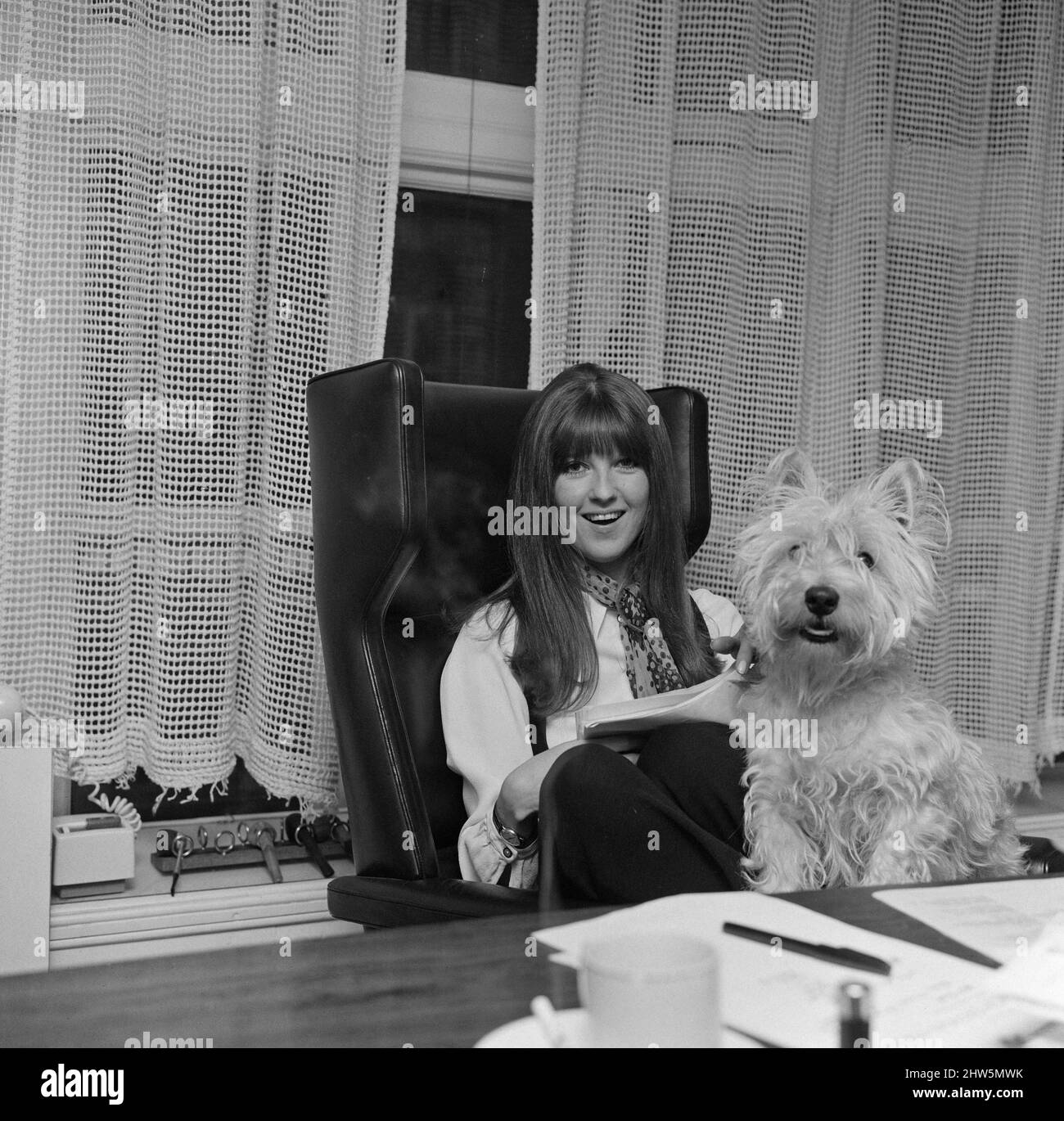 Cathy McGowan, englische Fernsehpersönlichkeit, abgebildet in ihrem Büro mit ihrem Hund, 17.. Mai 1968. Cathy McGowan (geboren 1943) ist eine britische Rundfunkanstalt und Journalistin, am besten bekannt als Moderatorin der Rockmusik-Fernsehsendung Ready Steady Go!. Stockfoto