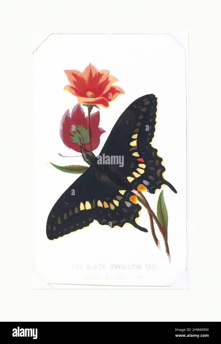 Art inspired by the Black Swallowtail from the Butterflies and Moths of America Part 3, 1862, Farblithographie, Blatt: 4 x 2 3/8 in. (10,2 x 6,1 cm), Drucke, von Artotop modernisierte Klassiker mit einem Schuss Moderne. Formen, Farbe und Wert, auffällige visuelle Wirkung auf Kunst. Emotionen durch Freiheit von Kunstwerken auf zeitgemäße Weise. Eine zeitlose Botschaft, die eine wild kreative neue Richtung verfolgt. Künstler, die sich dem digitalen Medium zuwenden und die Artotop NFT erschaffen Stockfoto
