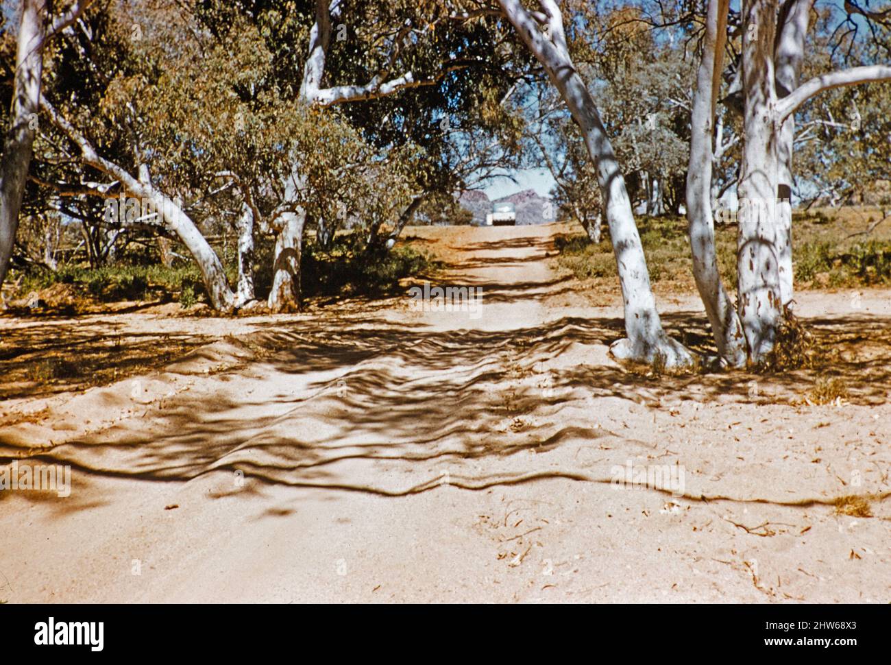 Melbourne Grammar School Expedition, Northern Territory, Australien im Jahr 1956 Tour-Bus von Len Tuit in der Ferne auf sandigen nicht gemacht Straße Spur betrieben Stockfoto