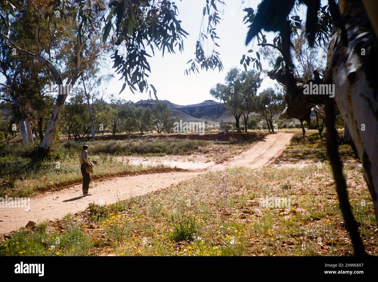 Melbourne Grammar School Expedition, Northern Territory, Australien im Jahr 1956 Outback Landschaft und unbefestigte Straße, nicht näher bezeichnete Lage Stockfoto