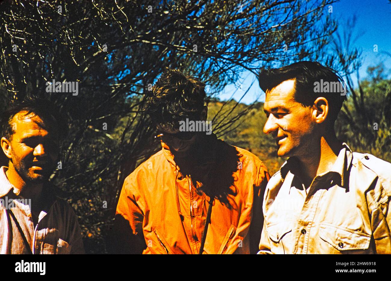 Curtin Springs? Melbourne Grammar School Expedition, Northern Territory, Australien im Jahr 1956 dachten drei Männer, in Curtin Springs zu sein, vielleicht Len Tuit auf der rechten Seite? Stockfoto