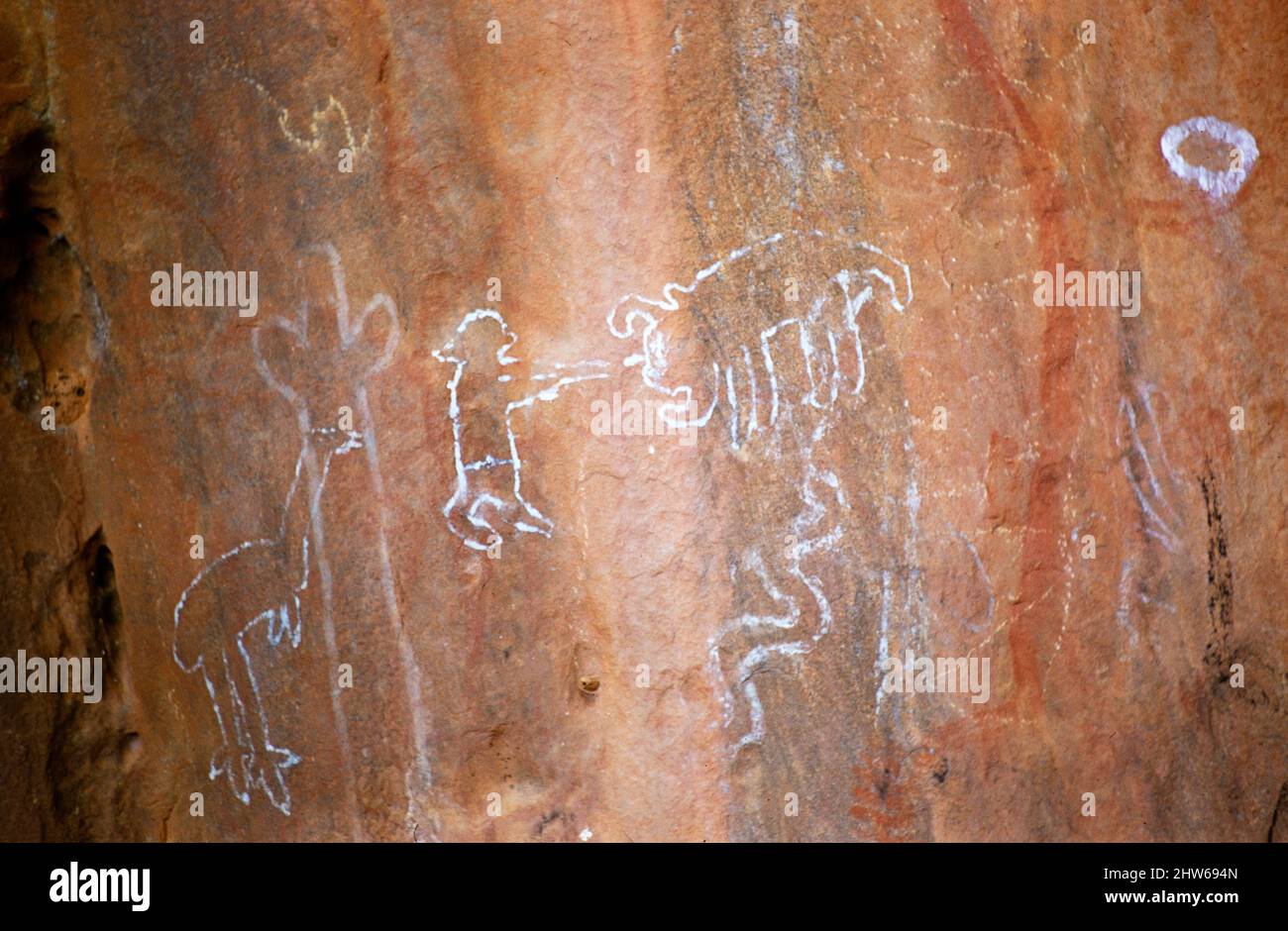 Melbourne Grammar School Expedition, Northern Territory, Australien in 1956 Aborigine-Felsmalereien Ayers Rock, Uluru Stockfoto