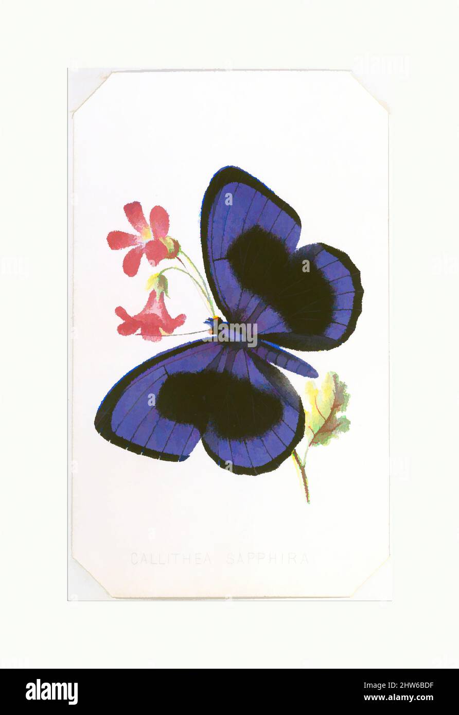 Kunst inspiriert von Callithea Sapphira aus den Schmetterlingen und Motten Amerikas Teil 1, 1860, Farblithographie, Blatt: 4 1/8 x 2 1/2 Zoll (10,5 x 6,4 cm, Classic Works modernisiert von Artotop mit einem Schuss Modernität. Formen, Farbe und Wert, auffällige visuelle Wirkung auf Kunst. Emotionen durch Freiheit von Kunstwerken auf zeitgemäße Weise. Eine zeitlose Botschaft, die eine wild kreative neue Richtung verfolgt. Künstler, die sich dem digitalen Medium zuwenden und die Artotop NFT erschaffen Stockfoto