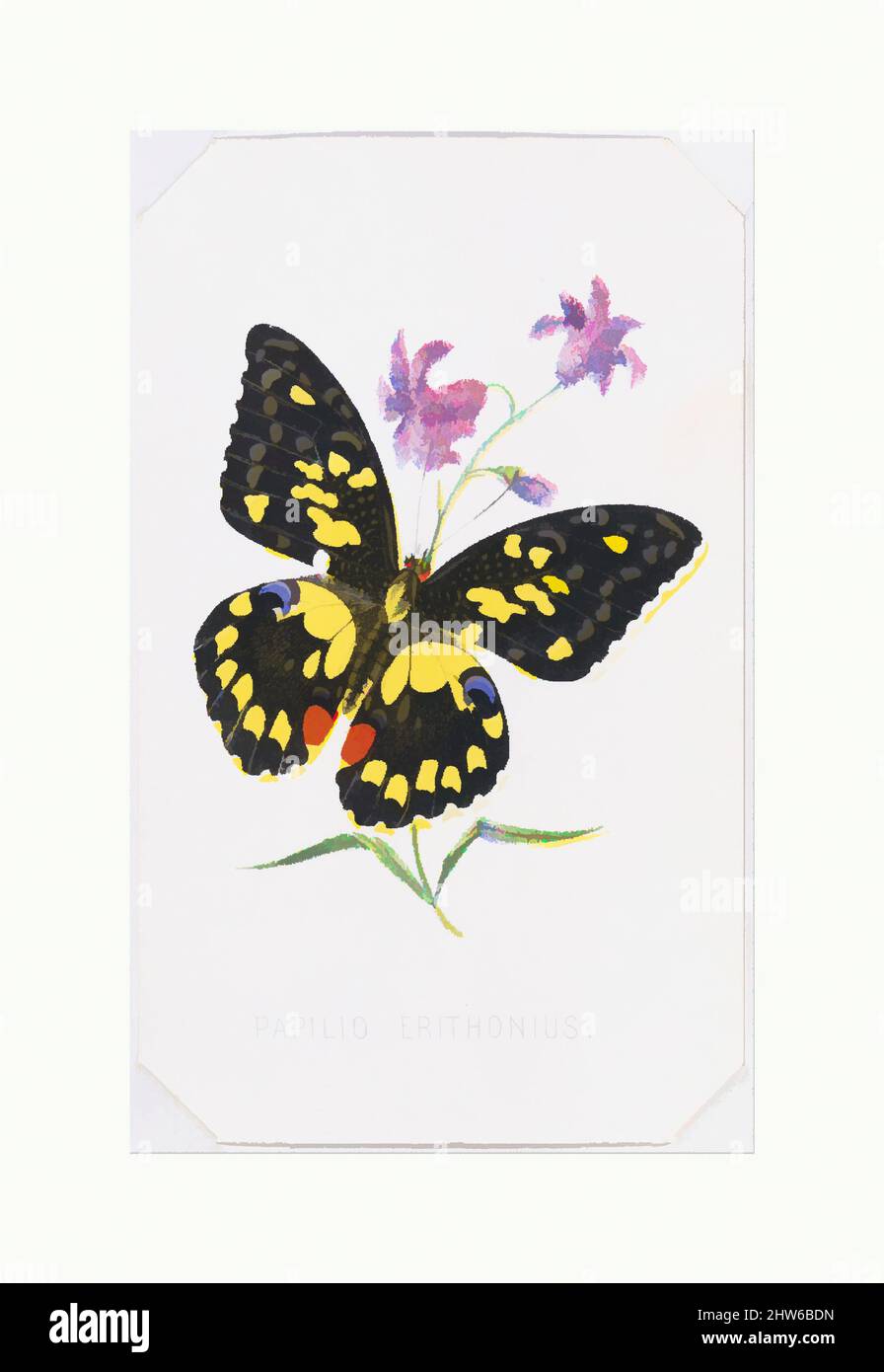 Kunst inspiriert von Papilio Erithonius aus den Schmetterlingen und Motten Amerikas Teil 1, 1860, Farblithographie, Blatt: 4 1/8 x 2 1/2 Zoll (10,5 x 6,4 cm, Classic Works modernisiert von Artotop mit einem Schuss Modernität. Formen, Farbe und Wert, auffällige visuelle Wirkung auf Kunst. Emotionen durch Freiheit von Kunstwerken auf zeitgemäße Weise. Eine zeitlose Botschaft, die eine wild kreative neue Richtung verfolgt. Künstler, die sich dem digitalen Medium zuwenden und die Artotop NFT erschaffen Stockfoto