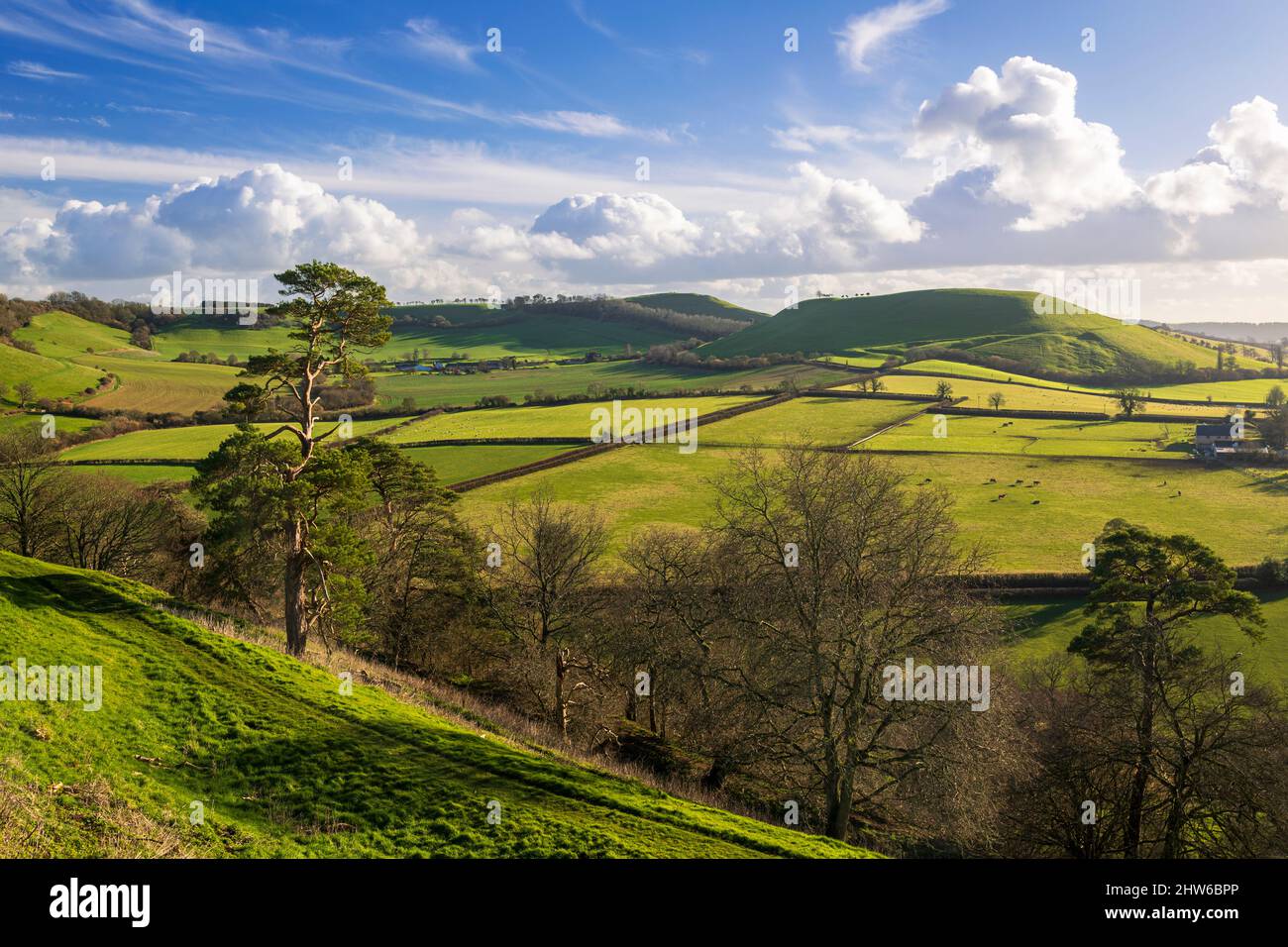 Wunderschöne Landschaft und herrliche Aussicht auf die Landschaft von Somerset von den Wällen des Cadbury Hillfort im Südwesten Englands Stockfoto