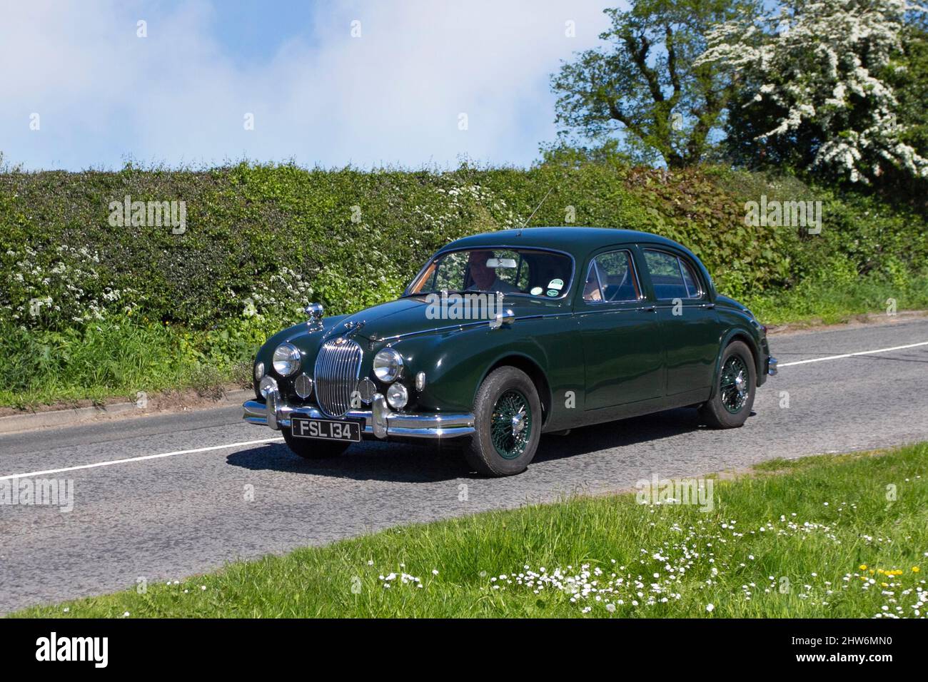 1959 50s fünfziger Jahre grüne Jaguar 3781cc Benzin-Luxuslimousine auf dem Weg zur Capesthorne Hall classic May Car Show, Ceshire, Großbritannien Stockfoto