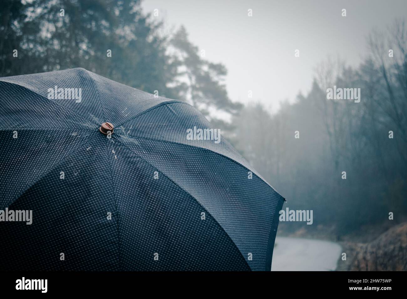 Schöne Aufnahme einer Person, die einen Regenschirm unter dem Regen in einem Wald hält Stockfoto