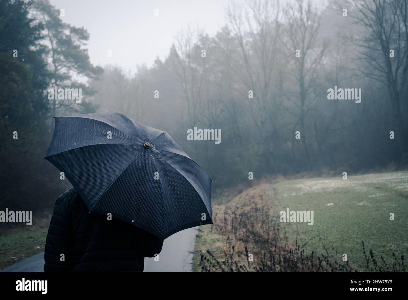 Schöne Aufnahme einer Person, die einen Regenschirm unter dem Regen in einem Wald hält Stockfoto