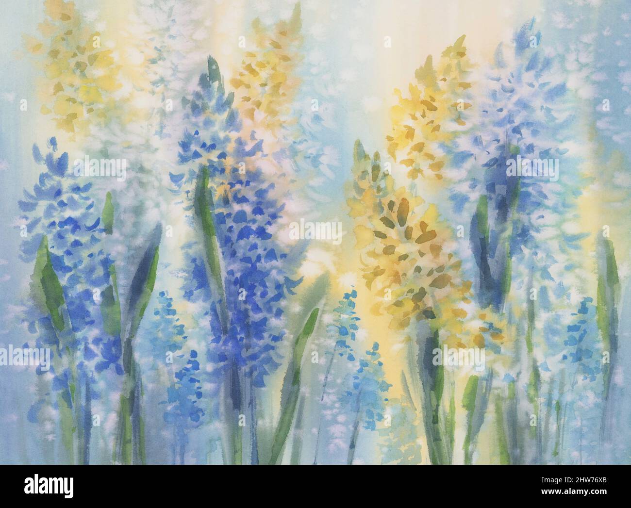 Blau und gelb Frühlingsblumen Aquarell Hintergrund Stockfoto