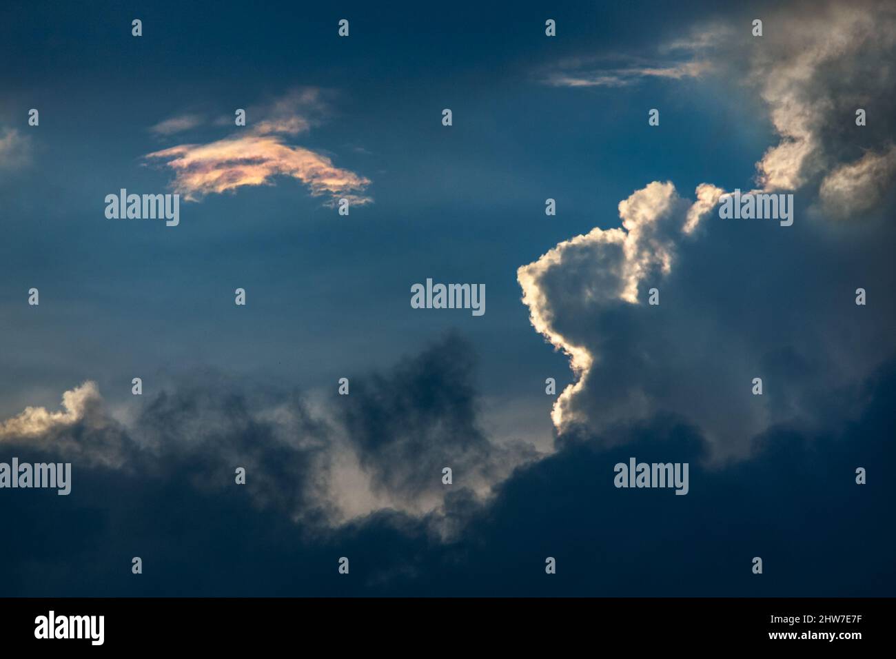 Altocumuluswolke, mit schillernder Wolke, neben der aufragenden Cumuluswolke, mit Stratocumuluswolken am Fuß, hinterleuchtet bei Sonnenuntergang, Johannesburg, Sou Stockfoto
