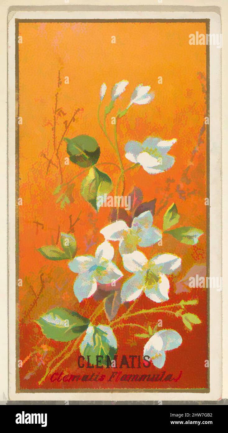 Art inspired by Clemantis (Clemantis Flammula), from the Flowers series for Old Judge Cigarettes, 1890, Commercial color lithograph, Sheet: 2 3/4 x 1 1/2 in. (7 x 3,8 cm), die „Blumen“-Serie von Trading Cards (N164), wurde 1890 von Goodwin & Company herausgegeben, um Old Judge, Classic Works zu fördern, die von Artotop mit einem Schuss Moderne modernisiert wurden. Formen, Farbe und Wert, auffällige visuelle Wirkung auf Kunst. Emotionen durch Freiheit von Kunstwerken auf zeitgemäße Weise. Eine zeitlose Botschaft, die eine wild kreative neue Richtung verfolgt. Künstler, die sich dem digitalen Medium zuwenden und die Artotop NFT erschaffen Stockfoto