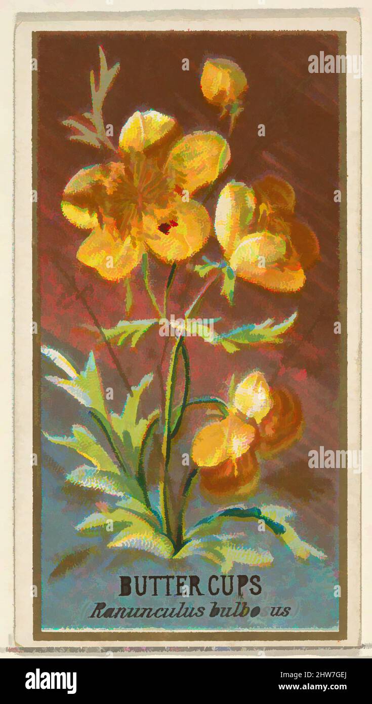 Kunst inspiriert von Schmetterlingen (Ranunculus bulbosus), aus der Serie Flowers for Old Judge Zigaretten, 1890, kommerzielle Farblithographie, Blatt: 2 3/4 x 1 1/2 Zoll (7 x 3,8 cm), die „Blumen“-Serie von Trading Cards (N164), wurde 1890 von Goodwin & Company herausgegeben, um Old Judge, Classic Works zu fördern, die von Artotop mit einem Schuss Moderne modernisiert wurden. Formen, Farbe und Wert, auffällige visuelle Wirkung auf Kunst. Emotionen durch Freiheit von Kunstwerken auf zeitgemäße Weise. Eine zeitlose Botschaft, die eine wild kreative neue Richtung verfolgt. Künstler, die sich dem digitalen Medium zuwenden und die Artotop NFT erschaffen Stockfoto