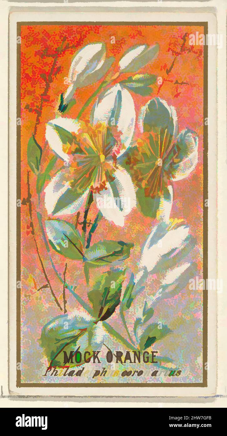 Art inspired by Mock orange (Philadelphus coronarius), from the Flowers series for Old Judge Cigarettes, 1890, Commercial color lithograph, Sheet: 2 3/4 x 1 1/2 in. (7 x 3,8 cm), die „Blumen“-Serie von Trading Cards (N164), wurde 1890 von Goodwin & Company herausgegeben, um Old Judge, Classic Works zu fördern, die von Artotop mit einem Schuss Moderne modernisiert wurden. Formen, Farbe und Wert, auffällige visuelle Wirkung auf Kunst. Emotionen durch Freiheit von Kunstwerken auf zeitgemäße Weise. Eine zeitlose Botschaft, die eine wild kreative neue Richtung verfolgt. Künstler, die sich dem digitalen Medium zuwenden und die Artotop NFT erschaffen Stockfoto