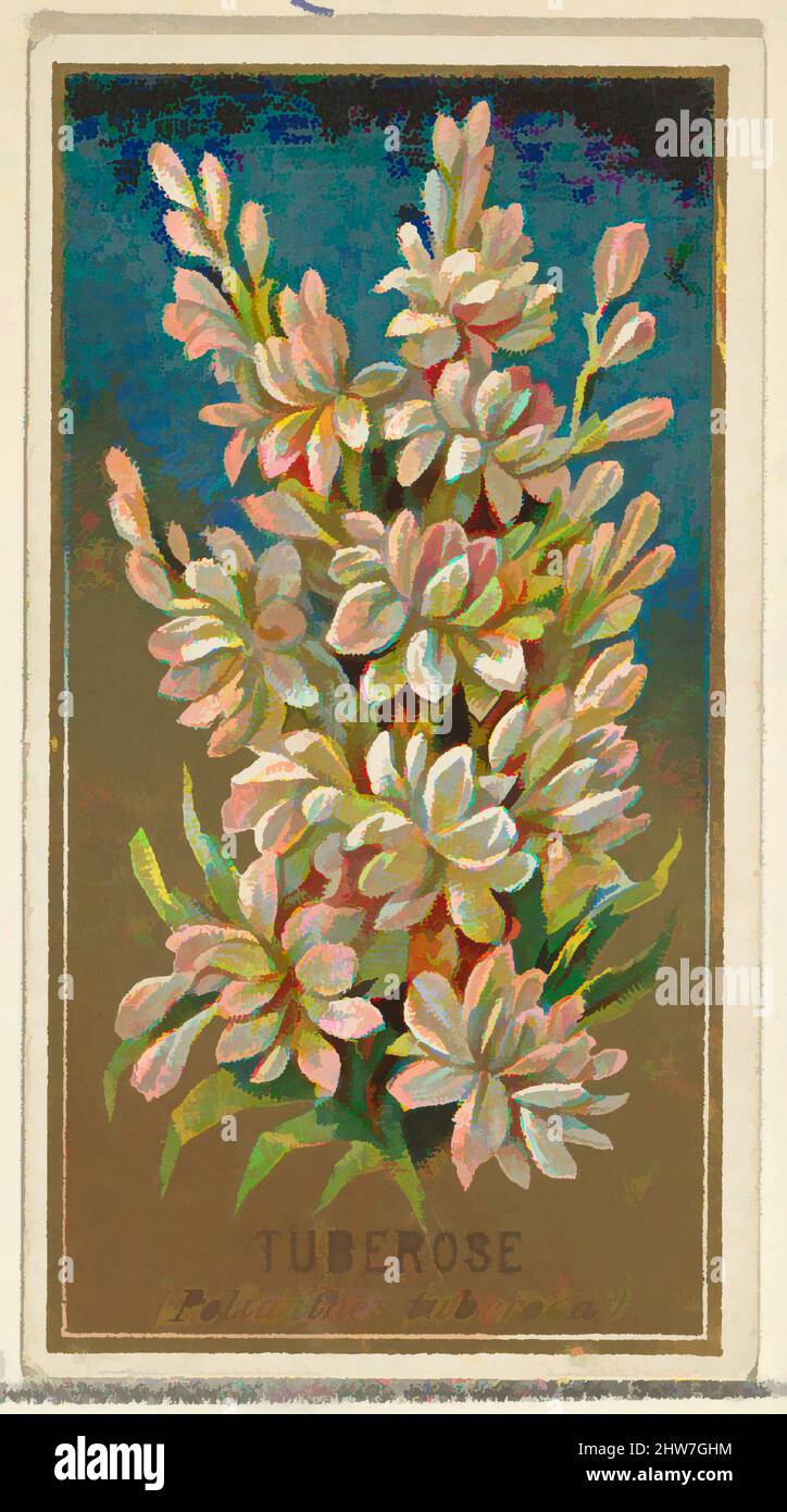 Kunst inspiriert von Tuberose (Pollanthes tuberosa), aus der Serie Flowers for Old Judge Cigarettes, 1890, kommerzielle Farblithographie, Blatt: 2 3/4 x 1 1/2 Zoll (7 x 3,8 cm), die „Blumen“-Serie von Trading Cards (N164), wurde 1890 von Goodwin & Company herausgegeben, um Old Judge, Classic Works zu fördern, die von Artotop mit einem Schuss Moderne modernisiert wurden. Formen, Farbe und Wert, auffällige visuelle Wirkung auf Kunst. Emotionen durch Freiheit von Kunstwerken auf zeitgemäße Weise. Eine zeitlose Botschaft, die eine wild kreative neue Richtung verfolgt. Künstler, die sich dem digitalen Medium zuwenden und die Artotop NFT erschaffen Stockfoto